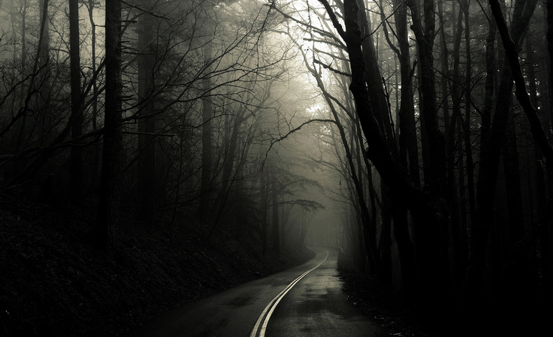 dark_road_forest.jpg