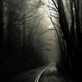 dark road forest