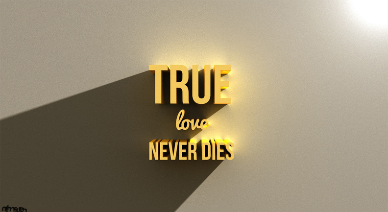 true_love_never_dies_05_nithinsuren.jpg