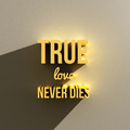 true love never dies 05 nithinsuren