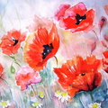 Poppies Flowers Painting Artwork