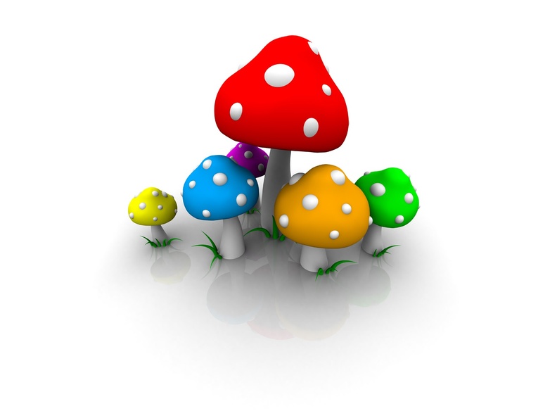 Colored_Mushrooms.jpg