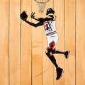 Michael Jordan Chicago Bulls BasketBall