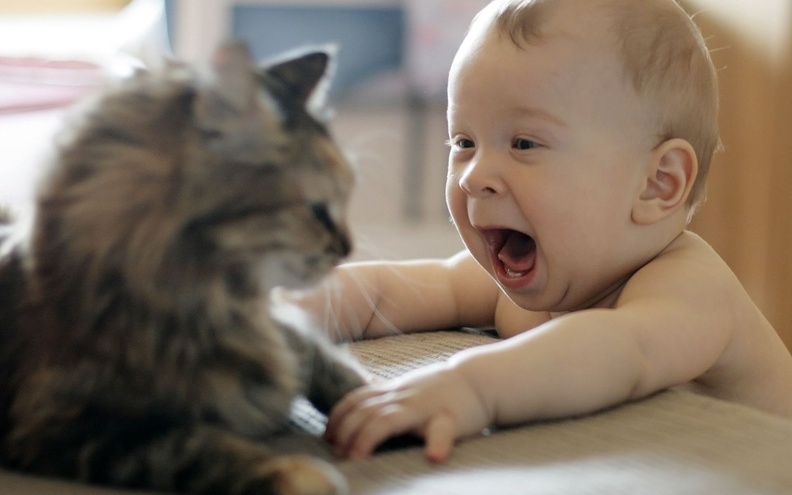 Two_Toothed_Baby_And_Cat.jpg