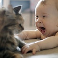 Two Toothed Baby And Cat