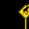 Giraffes Signs