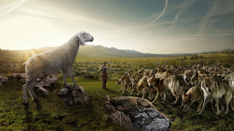 Sheep_In_A_Parallel_Universe.jpg