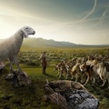 Sheep In A Parallel Universe