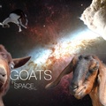 Goats In Space