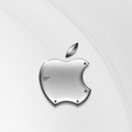 Apple IPad Platinum
