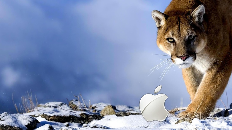Snow_Leopard_Mac_OS_Hd.jpg
