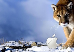 Snow Leopard Mac OS Hd