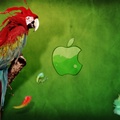 Apple Parrot Hd