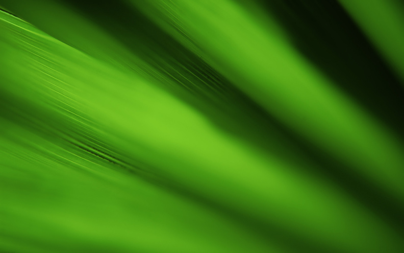Chlorophyll.jpg