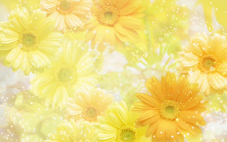 Background_Of_Yellow_Flowers.jpg
