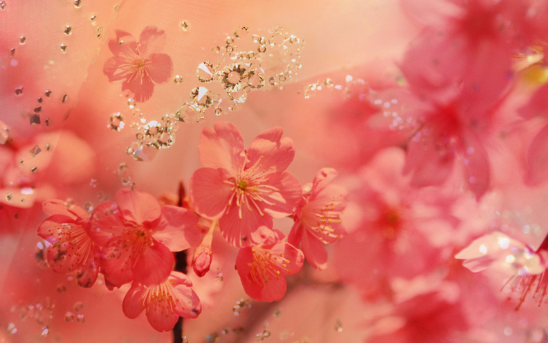 Cherries_Flowers_And_Diamonds.jpg