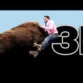 Bull 3D Movies Images