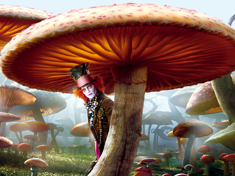 Alice_In_Wonderland_Mushroom.jpg