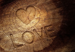 Love Quote On Wood HD