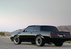 87 Buick Gnx