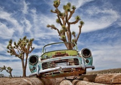 car skeleton in the desert hdr