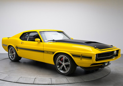 1970_Ford_Mustang_Boss_Snake