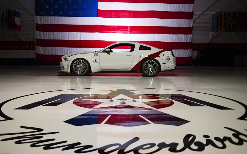 2014_us_air_force_thunderbirds_edition_ford_mustang.jpg