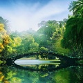 Tropical Park