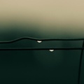 Drops on wire