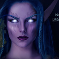Night Elf: the world of the warcraft