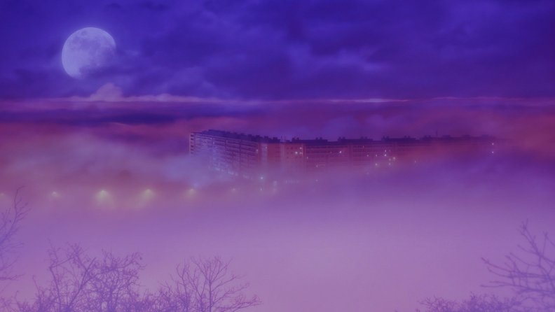lost_in_the_fog.jpg