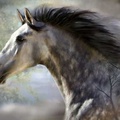Painting_Horse_