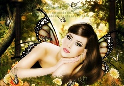★The Butterfly Whisperer★