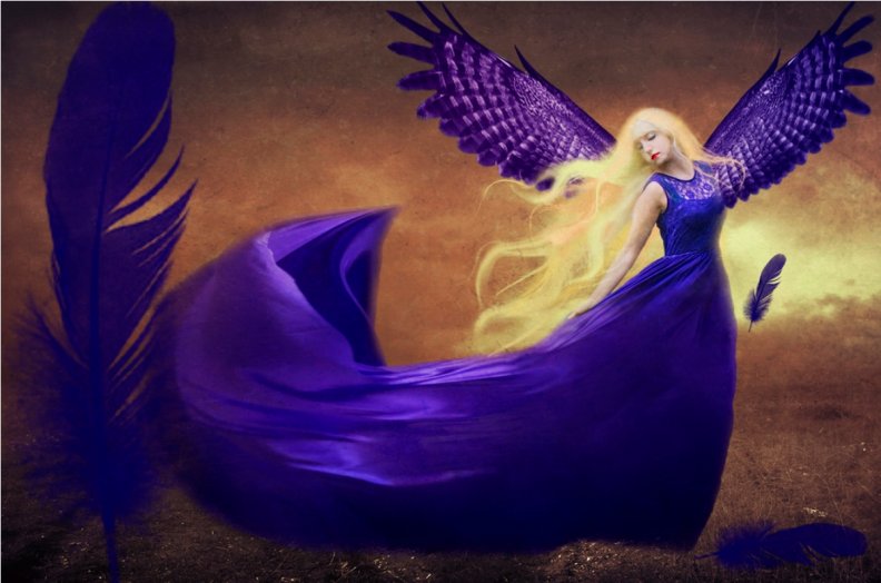 purple_angel.jpg