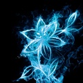 Smoke Flower