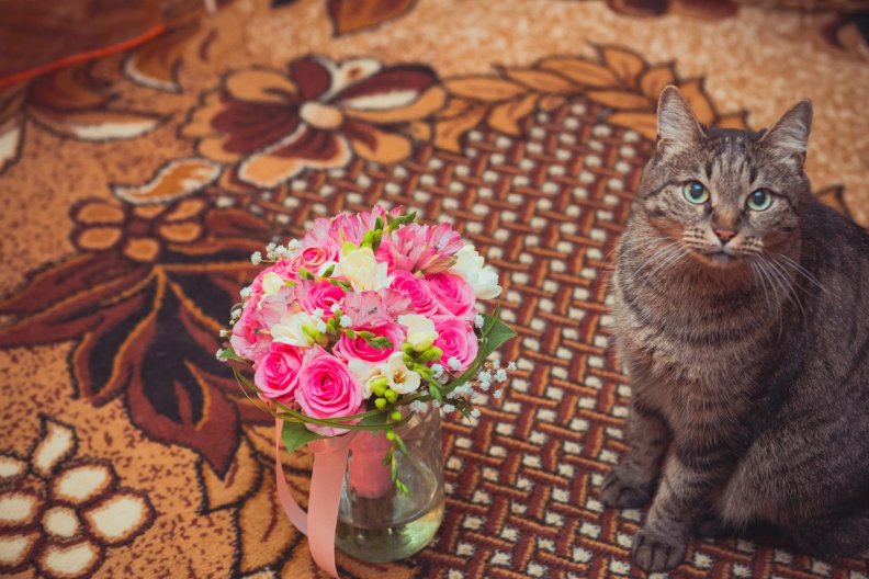Kitten and bouquet