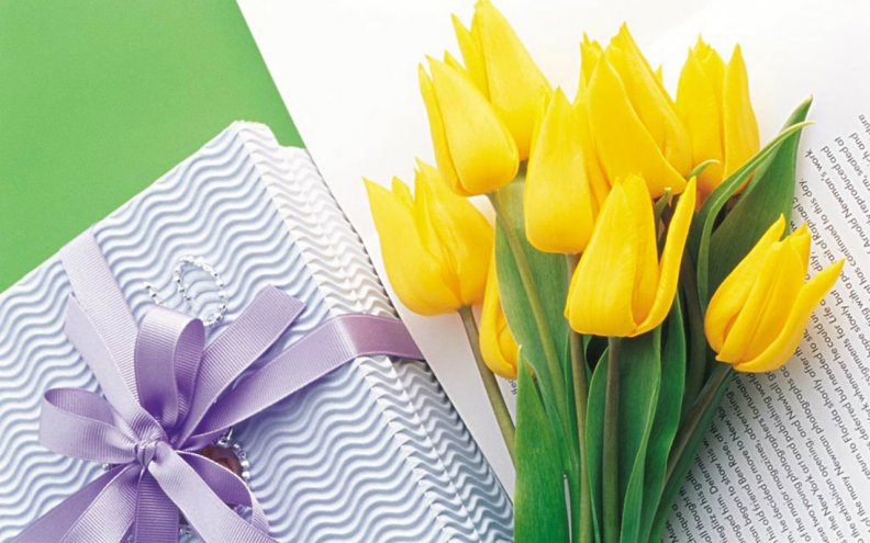 Yellow Tulips and Gift
