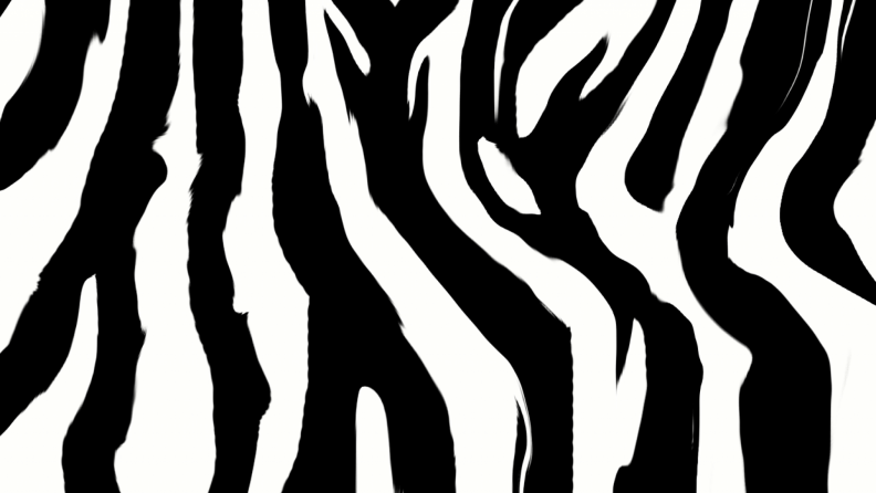 zebra_pattern.jpg