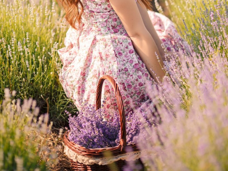 woman_in_lavender_field.jpg