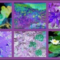Purple Floral Abstract