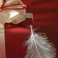 Feather and Gift