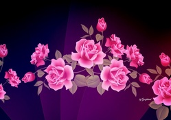 Pink Roses Fantasy