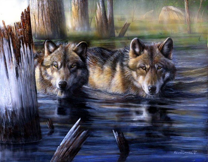 wolves_bathing.jpg