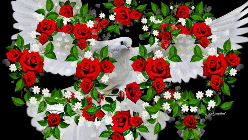 doves_roses.jpg