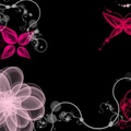 Pink Flower and Butterfly Abstract