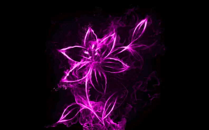 purple_smoke_flower.jpg