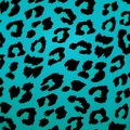 Blue Leopard Print