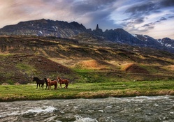 Landscape In Iceland