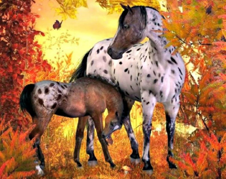 autumn_horses.jpg