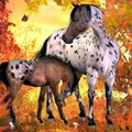 'Autumn Horses'